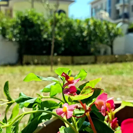 Vila Versilia Lido di Camaiore